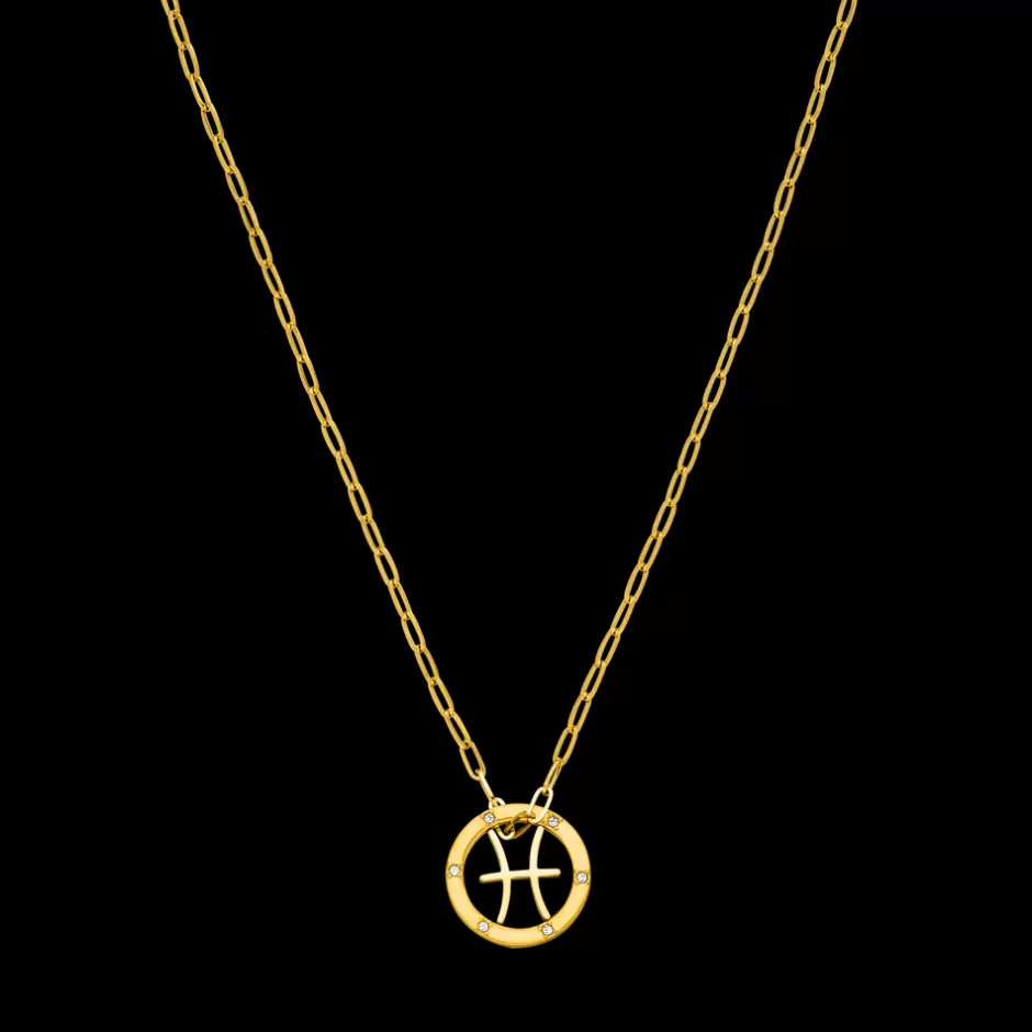 PURELEI Fische Zodiac Symbol Kette Shop