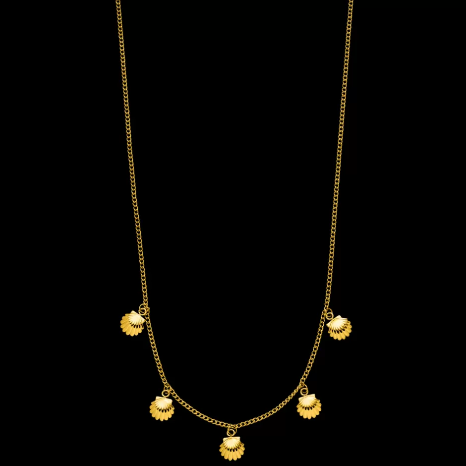PURELEI Kalea Shell Kette New
