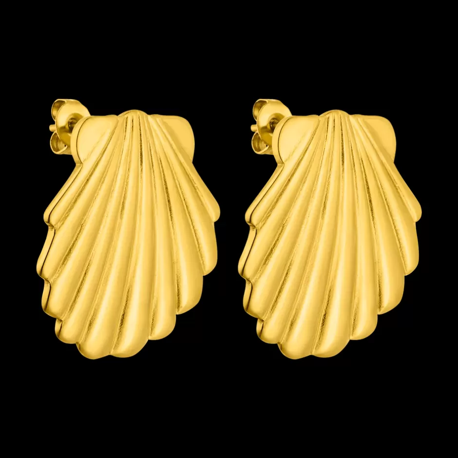 PURELEI Shell Ohrringe Cheap
